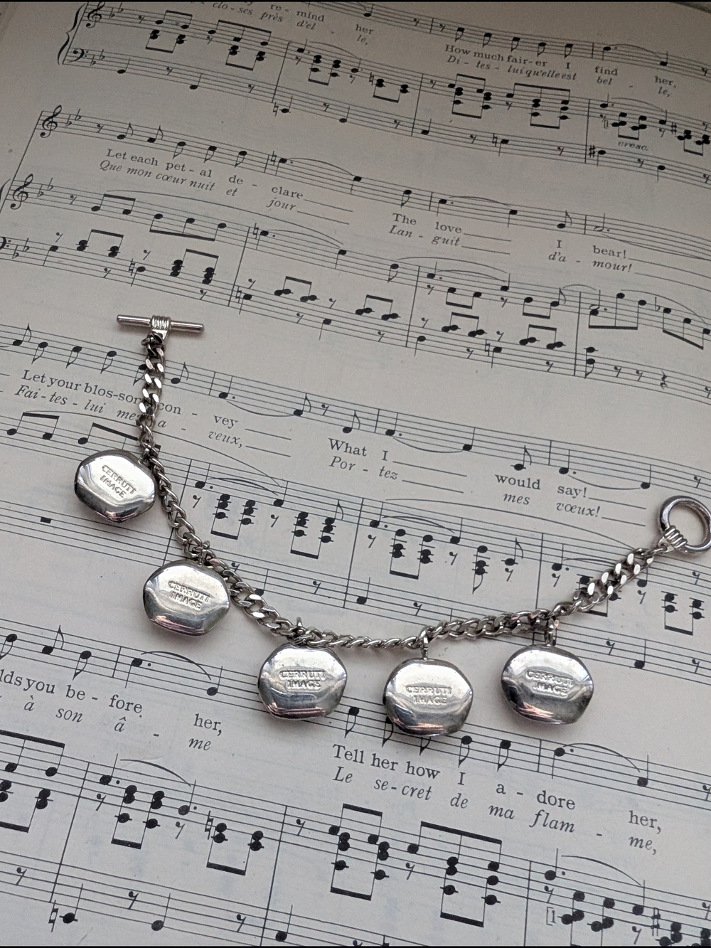 Cerruti Sterling Silver Charm Bracelet with Inspiration Charms - Picture 5 of 16